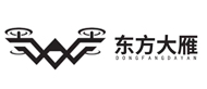 深圳東方大雁logo