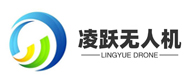 東莞凌躍無人機logo