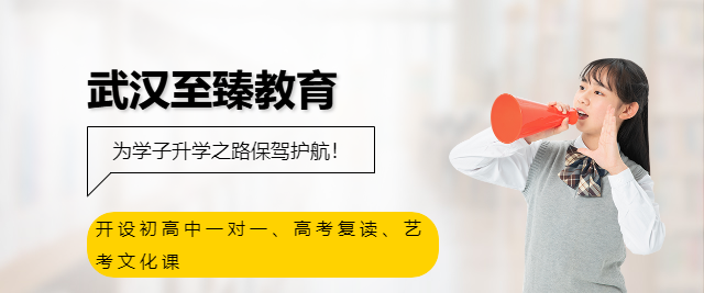 武漢至臻教育