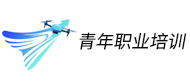 青年職業(yè)培訓學校logo
