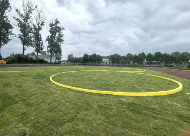 飛行場(chǎng)地