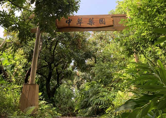 中草藥園